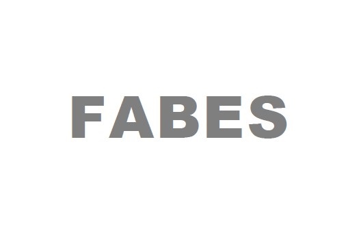 Présentation du mémoire sur FABES au comité d’experts